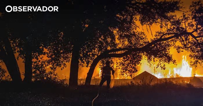 Incêndios. Portugal testa tecnologia de ponta para deteção e monitorização de fogos