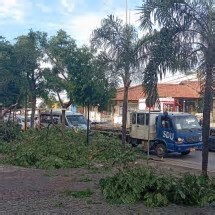 Lagoa Santa: 50 árvores caíram por causa de 'microexplosão climática'