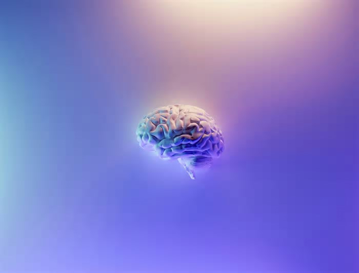 Nova técnica de exame cerebral pode ajudar pacientes com epilepsia que precisam de cirurgia