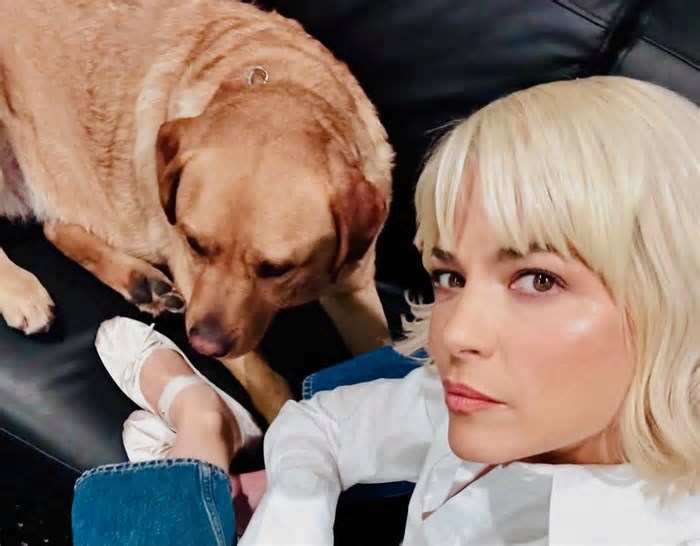 Entenda a condição de saúde de Selma Blair, atriz que levou cão à festa do Oscar