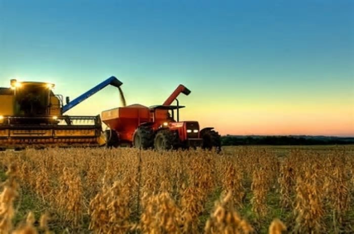 Recorde: Setor agropecuário gera mais de 35 mil empregos formais em janeiro