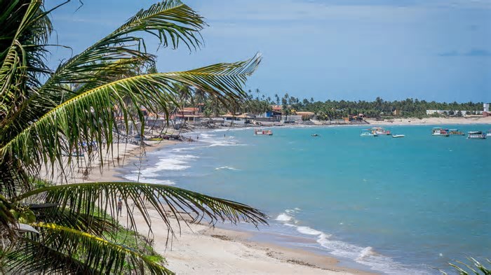 5 piscinas naturais no Nordeste do Brasil que parecem verdadeiros paraísos