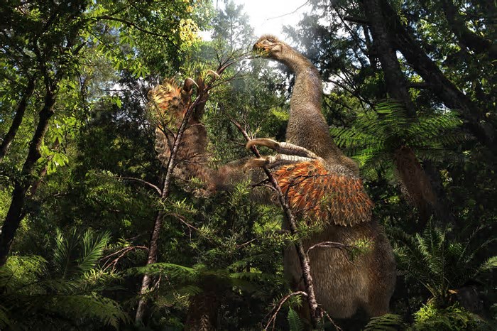 Dino parecido com preguiça com penas tinha grandes garras e comia plantas