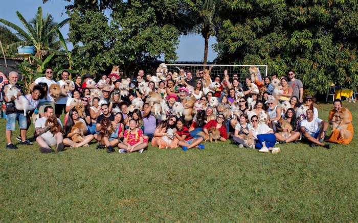 Spitz RJ: a petfamily que conquistou o coração dos cariocas