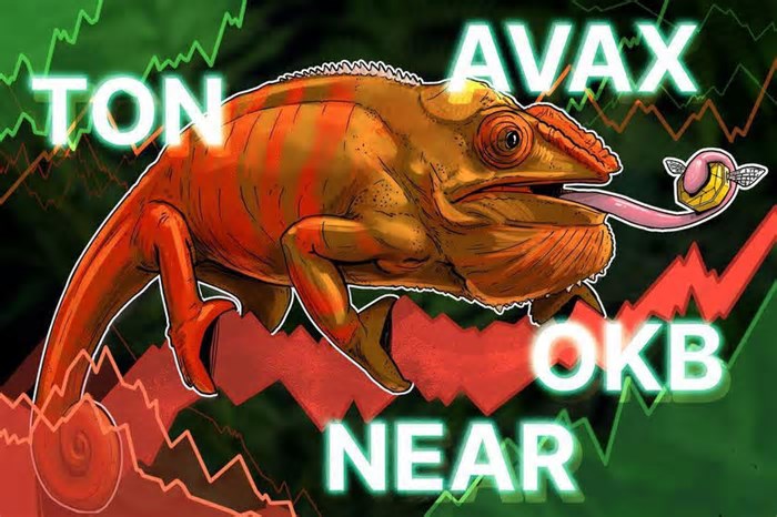 Recuperação do preço do Bitcoin prepara base para alta de TON, AVAX, NEAR e OKB