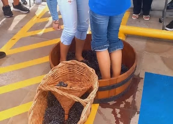 Jovens aprendizes do Senac Bento Gonçalves participam de atividades culturais
