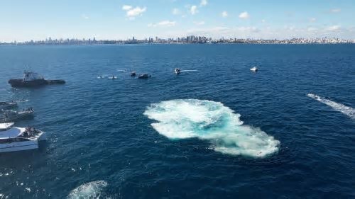 Em Salvador, ferryboat fora de operação é afundado de forma controlada para abrigar recifes de corais e outras espécies marinhas