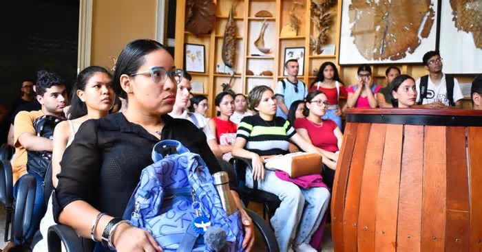 Museu de Manaus recebe 2 mil visitantes por mês; saiba como visitar