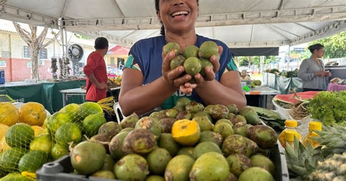 Feira de Produtos Regionais agita o fim de semana em seis pontos de Manaus