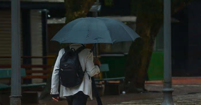 Incursões de ar frio trarão clima de outono esta semana no RS, diz MetSul