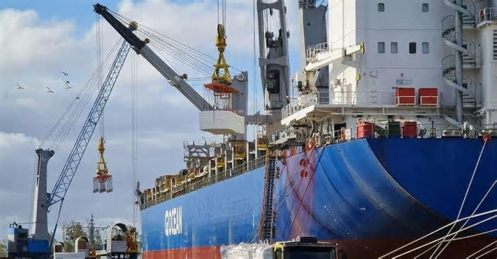 Portos gaúchos registram aumento de mais de 19% nas movimentações em 2024