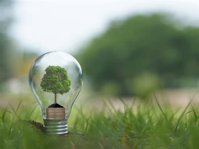 ExpoRenováveis 2025 vai reunir conhecimento, negócios e sustentabilidade
