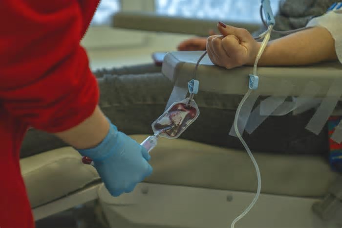 Doar sangue regularmente pode reduzir risco de desenvolver câncer, aponta estudo