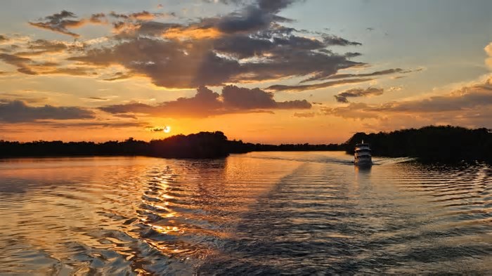 Debate propõe soluções climáticas na 5ª Conferência Estadual do Meio Ambiente