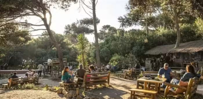 Palaphita: Restaurante Brasileiro em Portugal Une Sustentabilidade e Cozinha Amazônica