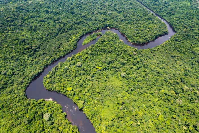 O que fazer em uma viagem para a Amazônia?