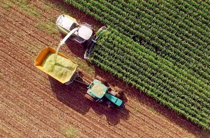 Em Goiás, cidades do interior têm maior crescimento do número de empregos do que Goiânia