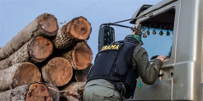 Ceará lança Comitê Estadual de Negócios de Impacto