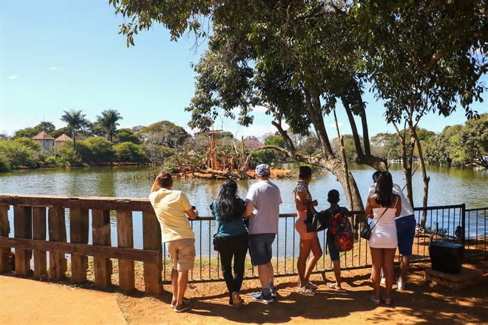 COP30: saiba quais cidades com altos riscos climáticos no Brasil vão ser ajudadas pela Inteligência Artificial