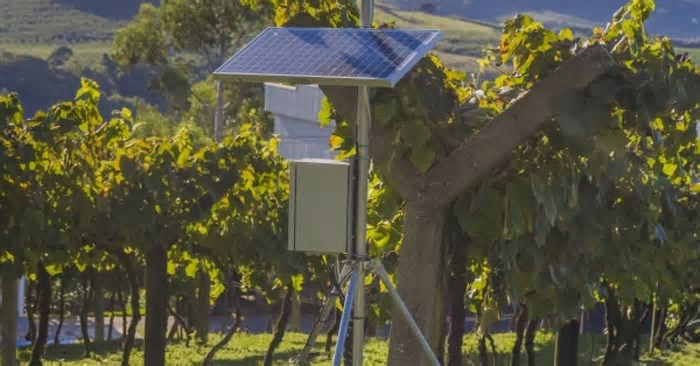 CIC Caxias lança projeto pioneiro de inteligência climática para apoiar o agronegócio de Caxias do Sul