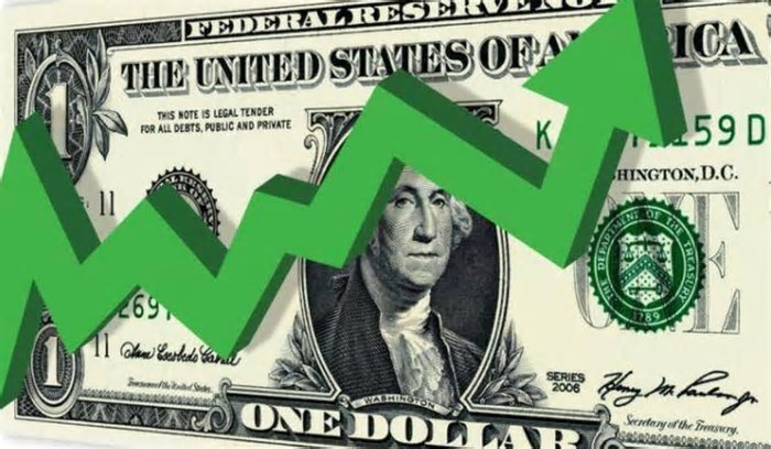 Valor do dólar hoje: sexta-feira (7) abre com cotação da moeda em alta