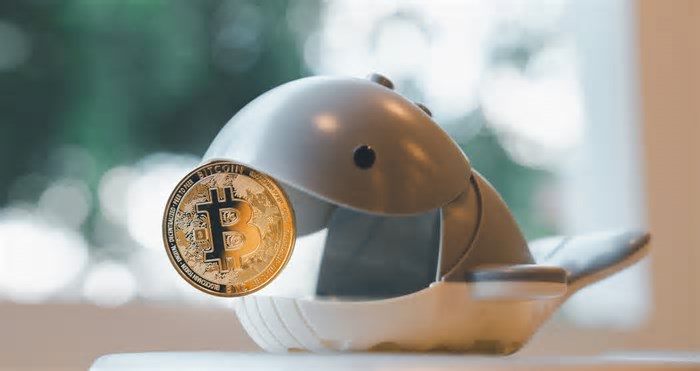 Bitcoin (BTC) sustenta ânimo e busca os US$ 92 mil; criptomoedas têm ajuste antes do “grande encontro” na Casa Branca