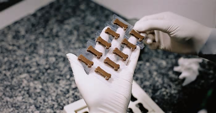 Com investimento de R$ 500 mil, farmácia de manipulação de Caxias do Sul lança medicamentos e produtos para pets