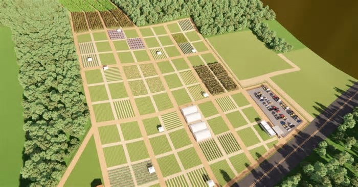 Prefeitura de Caxias do Sul estuda formato de ocupação de área do Horti Serra, em Fazenda Souza