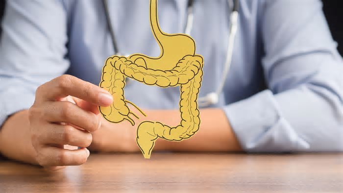 A saúde intestinal é mais importante do que você imagina: conheça como se manter em dia com ela!