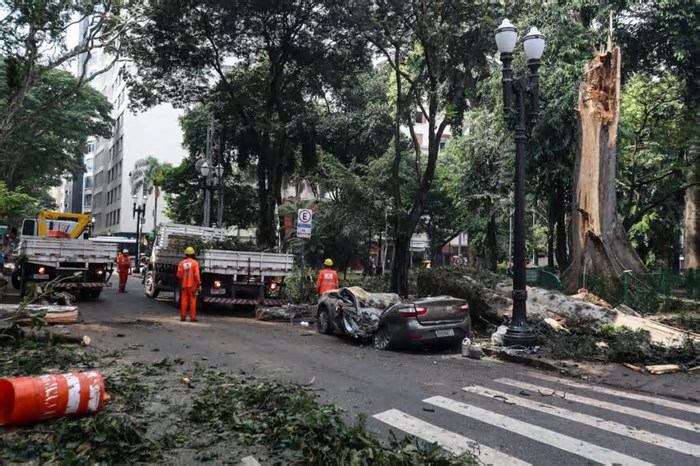 São Paulo: mais chuva, mais destruição