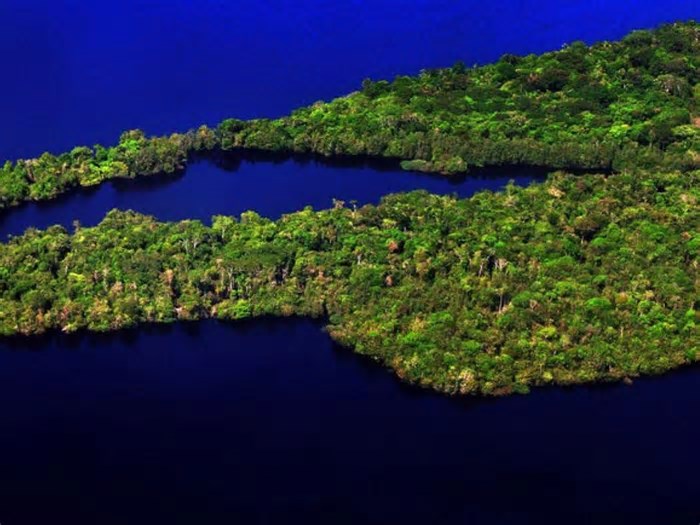 Inscrições para Prêmio Braztoa de Sustentabilidade 2025 seguem até junho