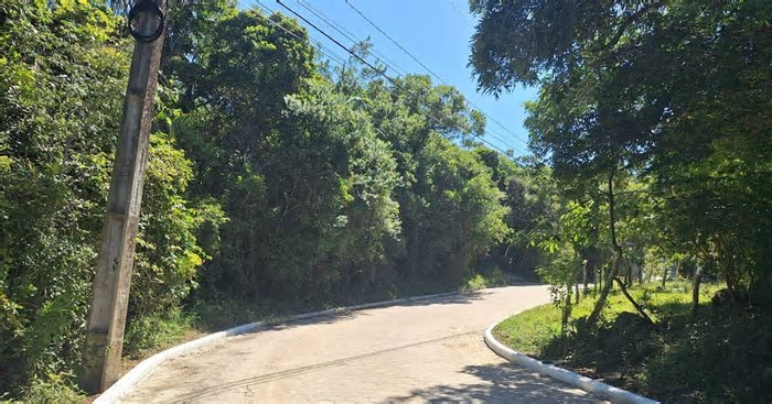 Novo trecho pavimentado no Sul da Ilha melhora conexão entre bairros e protege fauna local