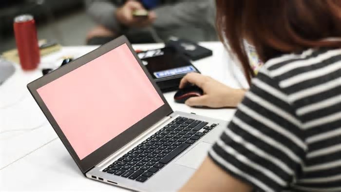 Número de empresas com mulheres entre as donas cresce 65,9% no Ceará