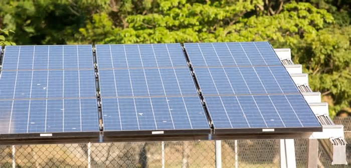 Evento com autoridades e empresários do agronegócio e energia solar debate transição energética
