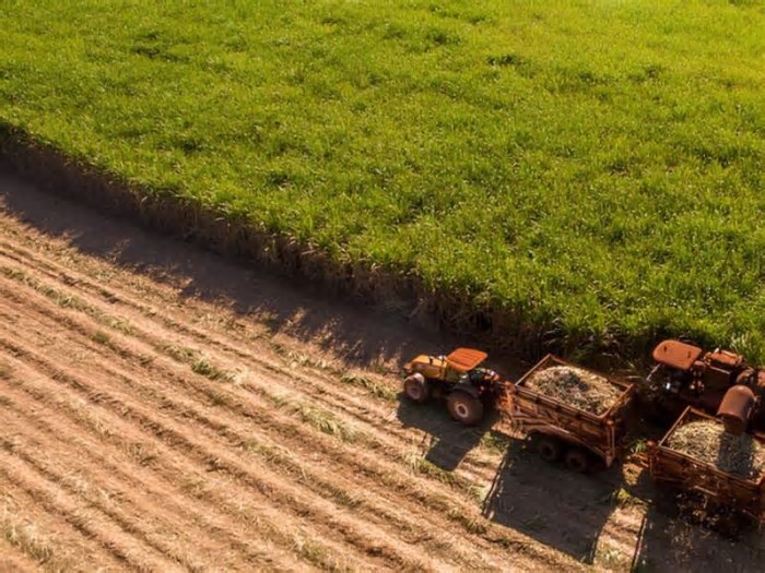ProCana Brasil realiza, no Recife, Congresso UAPNE25 - Usinas de Alta Perfomance Nordeste