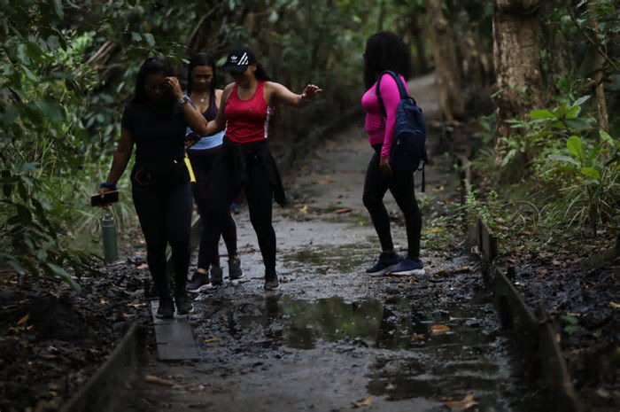 Apesar dos alagamentos, trilhas do Parque do Cocó seguem abertas em Fortaleza