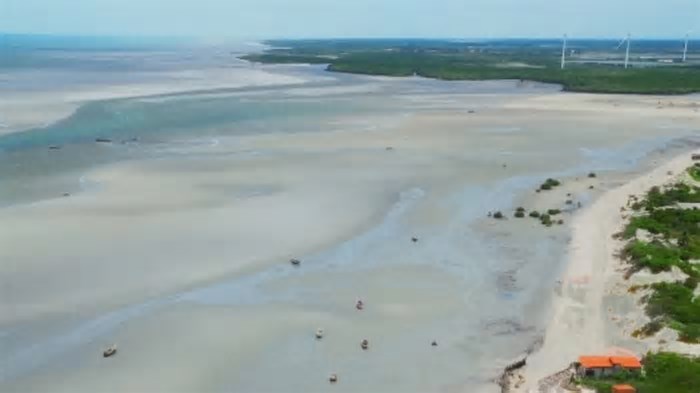 Praia ganha até quatro quilômetros de areia e fotos impressionam