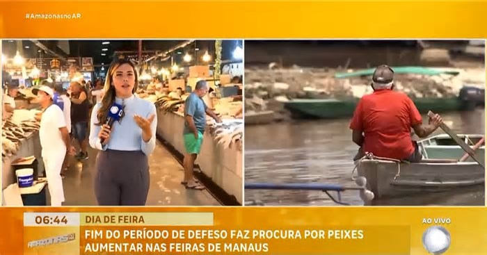 Fim do período de defeso faz procura por peixes aumentar nas feiras de Manaus (AM)