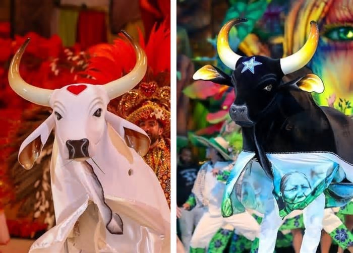 Contagem regressiva: faltam 100 dias para o 58º Festival de Parintins