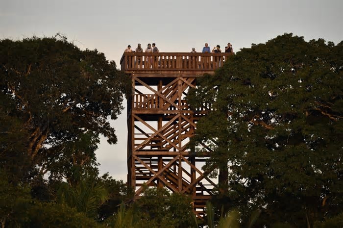 Amazônia: Hotéis Juma lançam pacotes com experiências exclusivas