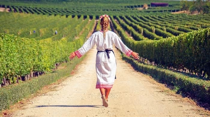Enoturismo: 10 dos Melhores Destinos de Vinho do Mundo