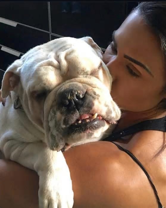 'BBB 25': Cachorra de Gracyanne Barbosa morre, e Belo lamenta: 'Pra sempre em nossos corações'
