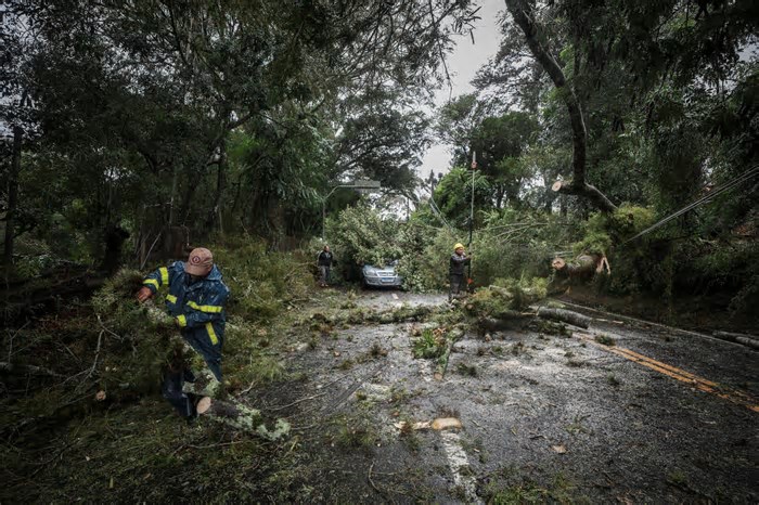 Após enchentes, Serra Gaúcha pode levar 40 anos para recuperar o solo