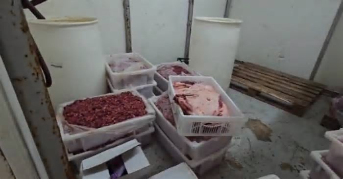 Frigorífico com 38 toneladas de carne imprópria é fechado no interior de SP