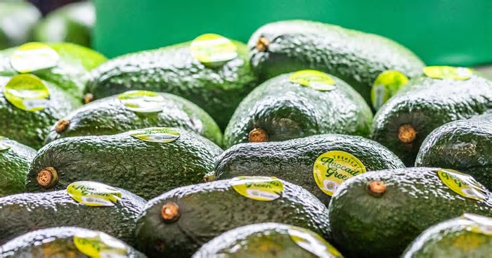 A fruta brasileira no radar do mundo