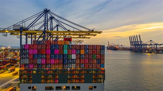 Carne de frango: nas exportações de 2025, só os industrializados registram retração; no volume e na receita