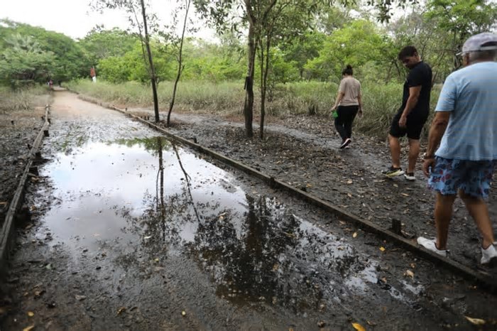 Apesar dos alagamentos, trilhas do Parque do Cocó seguem abertas em Fortaleza