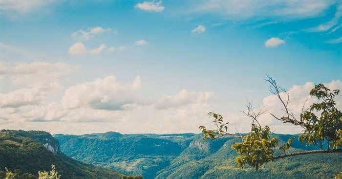 Festival Nostra Oliva propõe experiência em Gramado