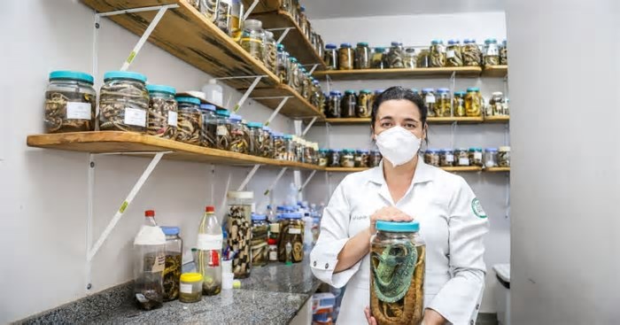 Mulheres na Ciência: Projetos incentivam o protagonismo e inserção feminina