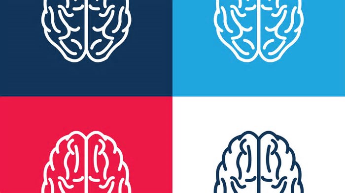 5 curiosidades sobre o seu cérebro que você nem imaginava que existiam